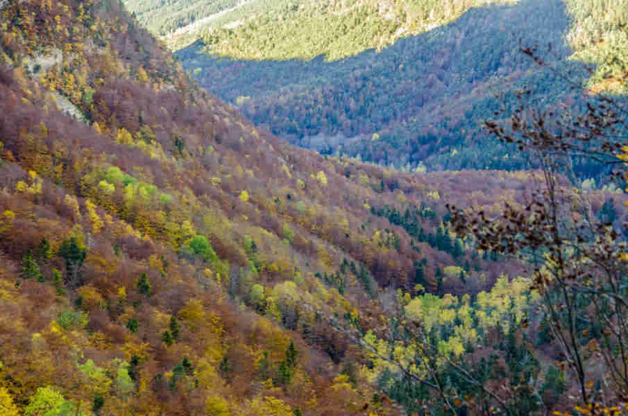 Huesca - parque nacional de Ordesa y Monte Perdido - valle de Ordesa 26.jpg